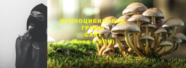Альфа ПВП Корсаков