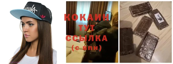 шишки Осинники