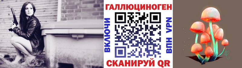 Галлюциногенные грибы Psilocybe  Магадан 