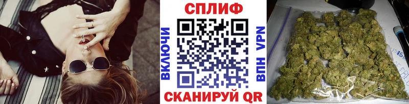 Шишки марихуана планчик  где можно купить наркотик  Магадан 